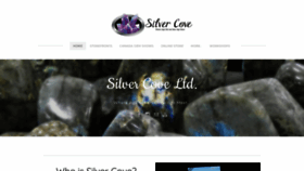 What Silvercove.biz website looked like in 2020 (3 years ago)
