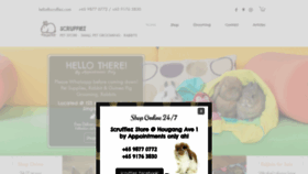 What Scruffiez.com website looked like in 2020 (3 years ago)