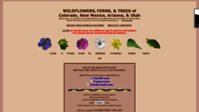 What Swcoloradowildflowers.com website looked like in 2020 (3 years ago)