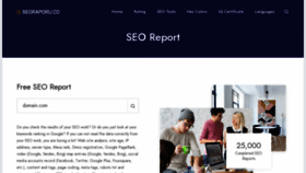 What Seoraporu.co website looked like in 2020 (3 years ago)