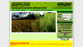 What Supplycopaddy.in website looked like in 2020 (3 years ago)