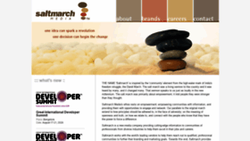 What Saltmarch.com website looked like in 2020 (3 years ago)