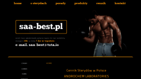 What Saa-best.pl website looked like in 2020 (3 years ago)