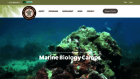What Seaturtlecamp.com website looked like in 2020 (3 years ago)