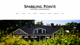 What Sparklingpointe.com website looked like in 2020 (3 years ago)