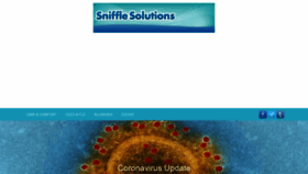 What Snifflesolutions.com website looked like in 2020 (3 years ago)