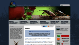 What Stopbmsb.org website looked like in 2020 (4 years ago)