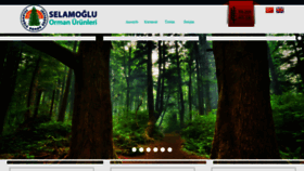 What Selamogluorman.com website looked like in 2020 (3 years ago)