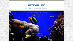 What Saltwaterland.com website looked like in 2020 (3 years ago)
