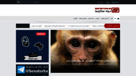 What Senatorha.com website looked like in 2020 (3 years ago)