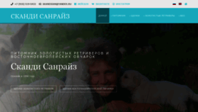 What Skandisanraiz.ru website looked like in 2020 (3 years ago)