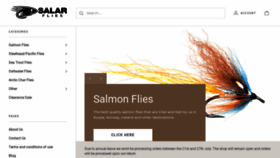 What Salarflies.com website looked like in 2020 (3 years ago)