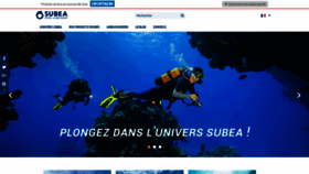 What Subea.fr website looked like in 2020 (3 years ago)