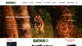 What Saevus.in website looked like in 2020 (3 years ago)