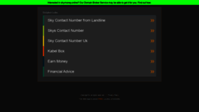 What Skymoney.online website looked like in 2020 (3 years ago)