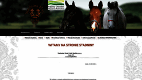 What Skliski.pl website looked like in 2020 (3 years ago)