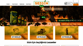 What Sezginns.com.tr website looked like in 2020 (3 years ago)
