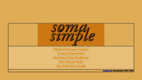 What Somasimple.com website looked like in 2020 (3 years ago)