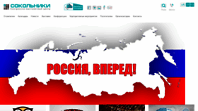 What Sokolniki.com website looked like in 2020 (3 years ago)