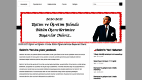 What Seliminyeri.net website looked like in 2020 (3 years ago)