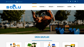 What Soylugrup.com website looked like in 2020 (3 years ago)