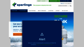 What Sparlings.com website looked like in 2020 (3 years ago)