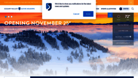 What Skialpine.com website looked like in 2020 (3 years ago)