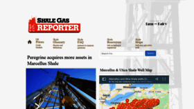 What Shalegasreporter.com website looked like in 2020 (3 years ago)