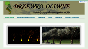 What Sklepdrzewkooliwne.pl website looked like in 2020 (3 years ago)
