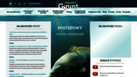 What Splawikigrunt.pl website looked like in 2020 (3 years ago)