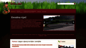 What Skrljak.com website looked like in 2020 (3 years ago)