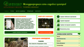 What Sianie1.ru website looked like in 2020 (3 years ago)