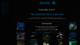 What Starfish.ch website looked like in 2020 (3 years ago)