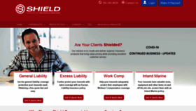 What Shieldins.net website looked like in 2020 (3 years ago)