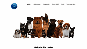 What Superrdog.pl website looked like in 2020 (3 years ago)