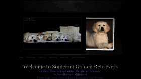 What Somersetgoldens.com website looked like in 2020 (3 years ago)