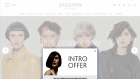 What Sassoon-academy.com website looked like in 2020 (3 years ago)