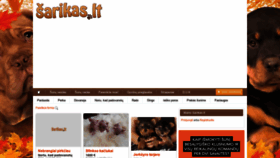 What Sarikas.lt website looked like in 2020 (3 years ago)