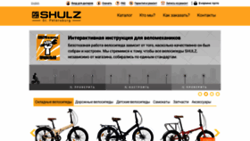 What Shulz.ru website looked like in 2020 (3 years ago)