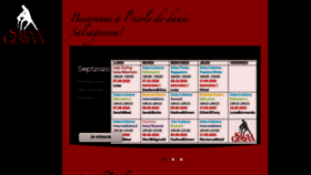 What Salsageneva.com website looked like in 2020 (3 years ago)
