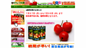 What Shun-fruits.com website looked like in 2020 (3 years ago)