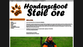 What Steilore.nl website looked like in 2020 (3 years ago)
