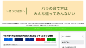 What Saubiasobi.jp website looked like in 2020 (3 years ago)