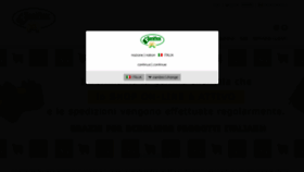 What Saniflex.it website looked like in 2020 (4 years ago)