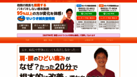 What Seiriki-seikotsu.jp website looked like in 2020 (3 years ago)
