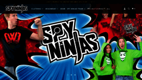 What Spyninjasstore.com website looked like in 2020 (3 years ago)