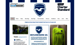 What Seagullsfc.co.uk website looked like in 2020 (3 years ago)