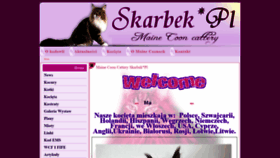 What Skarbekcoon.pl website looked like in 2020 (3 years ago)