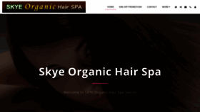 What Skyesalons.com website looked like in 2020 (3 years ago)