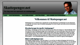 What Skattepenger.net website looked like in 2020 (3 years ago)